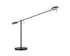Торшер Divinare Malcone 2623/06 PN-9