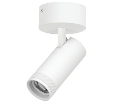 Накладной светильник 20-55G с адаптером Lightstar Canno Pro C4206SO