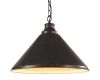 Подвесной светильник Arte Lamp Cone A9330SP-1BR