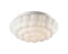 Потолочный светильник Arte Lamp Aqua A5130PL-2WH