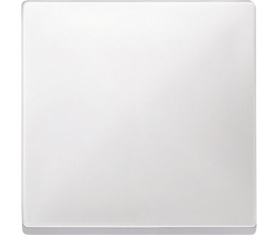 Клавиша одинарная Schneider Electric Merten Antique/Artec MTN412119