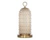 Настольная лампа ST Luce Saguaro SL6144.304.01