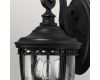 Уличный настенный светильник Feiss English bridle FE-EB2-M-BLK