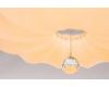 Потолочный светодиодный светильник Escada 10231/S LED