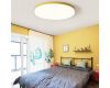 Потолочный светильник ImperiumLoft Disc Half White 193124-26