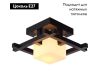 Потолочный светильник Arte Lamp 95 A8252PL-1CK
