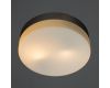 Потолочный светильник Arte Lamp Shirp A3211PL-2SI