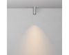 Потолочный светильник Maytoni Technical Focus Led C056CL-L12W2.7K-W-PT