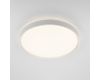 Потолочный светильник Citilux Boss CL751450G
