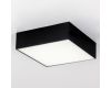 Накладной светильник Citilux Тао CL712X122N