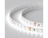 Светодиодная лента Arlight RT-A120-8mm 24V White6000 (9.6 W/m, IP20, 2835, 50m) 024568(2)
