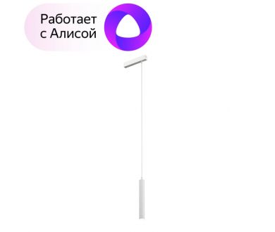 Трековый светильник Denkirs Smart DK8008-WH