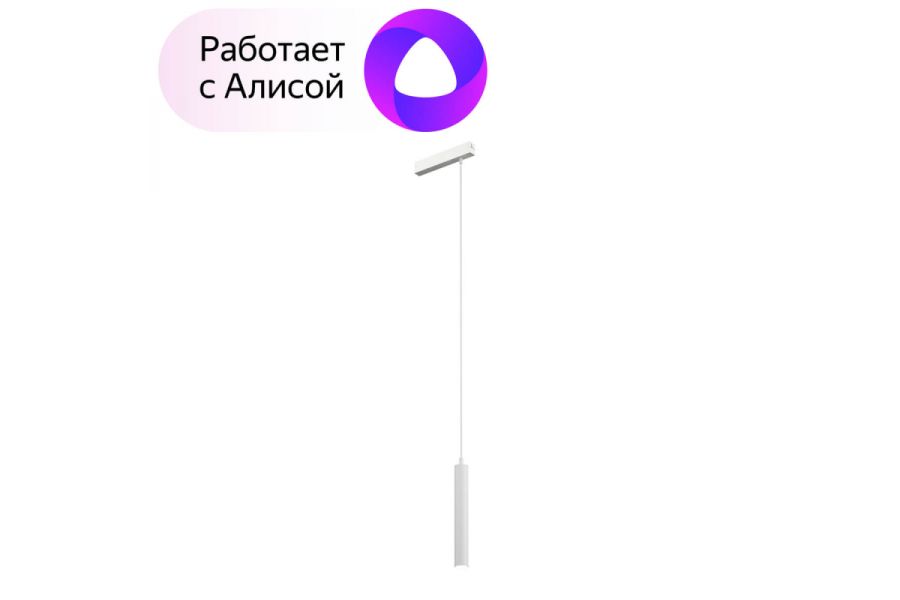 Трековый светильник Denkirs Smart DK8008-WH