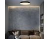 Потолочный светильник Loft IT Brim 10226 Black