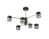 Люстра на штанге Lumion Lanika 8240/6C