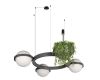 Подвесная люстра Loft IT Jardin 10121/3 Dark grey