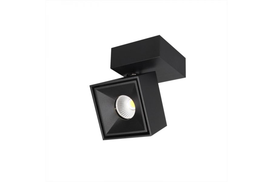 Спот Citilux CL558021N