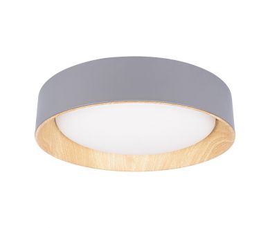 Потолочный светильник Loft IT Coin 10202 Grey