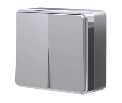 Выключатель двухклавишный Werkel Gallant серебряный W5020006 4690389167102