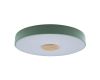Потолочный светильник Loft IT AXEL 10003/24 Green