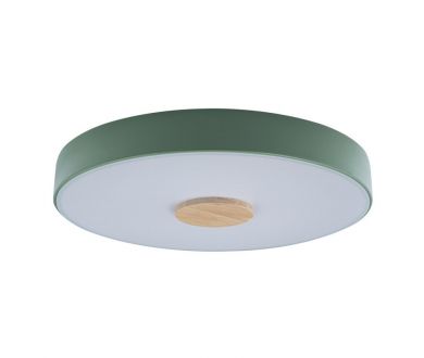 Потолочный светильник Loft IT AXEL 10003/24 Green