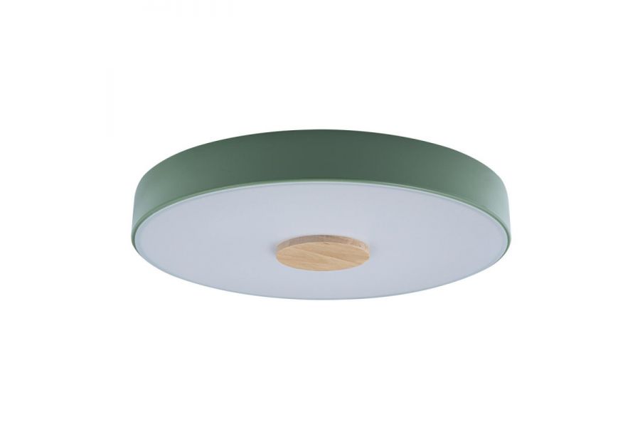 Потолочный светильник Loft IT AXEL 10003/24 Green