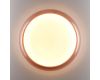 Настенно-потолочный светильник Sonex Color Portman 7778/ELN