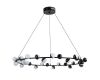 Подвесная люстра ARTE Lamp A3619SP-30BK