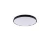 Потолочный cветильник Nowodvorski Agnes Round Led Pro Black 10971