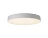 Потолочный светильник Citilux Bart CL755490