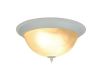 Потолочный светильник Arte Lamp Porch A1305PL-2WH