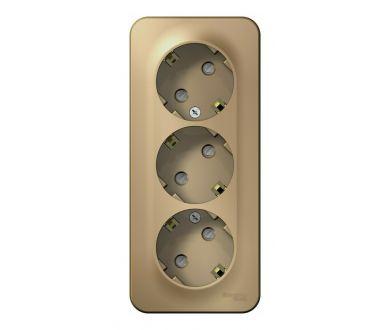 Розетка 3-ая с/з со шторками 16А, 250В, изолир. Пластина Systeme Electric Blanca наруж Титан BLNRA011314