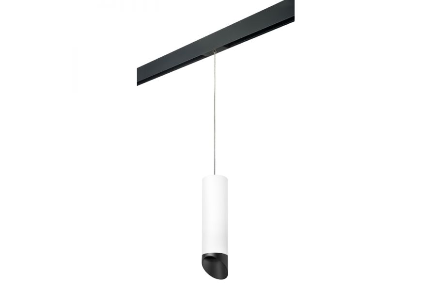 Трековый светильник Lightstar Rullo PRORP649687 (216496+595887+201487)
