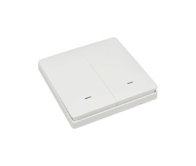 Выключатель двухклавишный Aployt Magnetic track 220 APL.0190.00.02