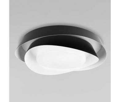 Потолочный светильник Loft IT Petale 10256 Black