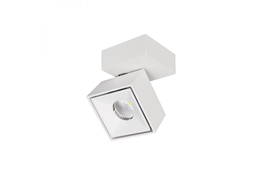 Спот Citilux CL558020N