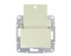 Выключатель карточный Schneider Electric Sedna 10A 250V SDN1900147