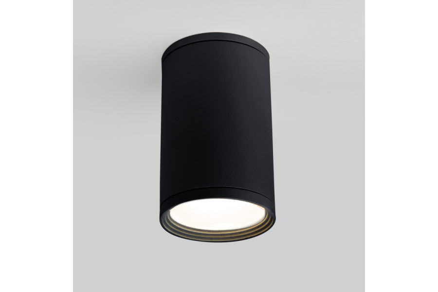 Уличный потолочный светильник Elektrostandard Light 4690389175916