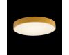 Потолочный светильник Loft IT AXEL 10002/24 Yellow