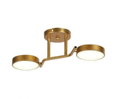 Потолочный светильник Escada Starlight 10273/2LED