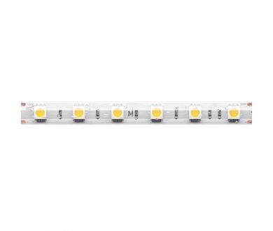 Светодиодная лента Maytoni Base 24В 5050 14,4Вт/м 6000K 5м IP65 201194