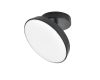 Потолочный светильник Escada 20023SMA/01LED BK