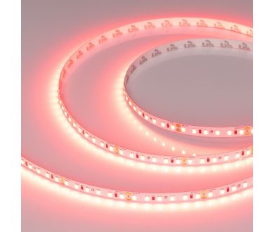 Светодиодная лента Arlight RT-A120-8mm 24V Scarlet (9.6 W/m, IP20, 2835, 5m) 043383