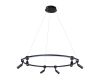 Подвесная люстра Arte Lamp Ring A2186SP-1BK