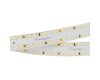 Светодиодная лента Arlight S2-A280-20mm 24V Warm3000 (20 W/m, IP20, 2835, 2.5m) 023401(2) (отрез 2,5 м)