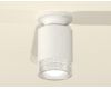 Накладной светильник Ambrella Light Techno XS6301102 (N6901, C6301, N6150)