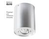 Потолочный светильник Arte Lamp A5644PL-1SI