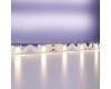 Светодиодная лента Maytoni Technical Led strip 24В 5050 12Вт/м 3000K 5м IP20 20044