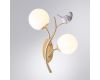 Бра Arte Lamp Camomilla A9712AP-2SG