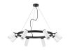 Подвесная люстра Lightstar Rullo (571018+214436-4+214486-4+202430-8) LR0188643640